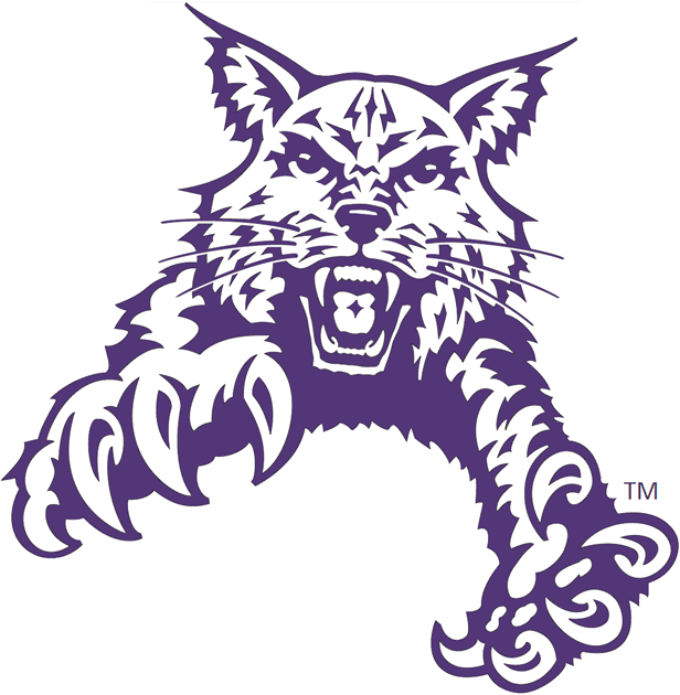 Abilene Christian Wildcats 1997-2012 Partial Logo v2 iron on transfers for T-shirts